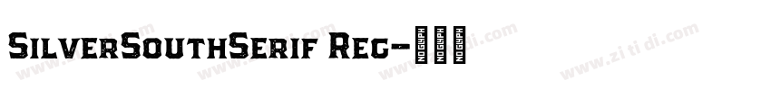 SilverSouthSerif Reg字体转换